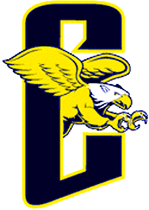 Canisius Golden Griffins 1999-2005 Alternate Logo iron on transfers for fabric